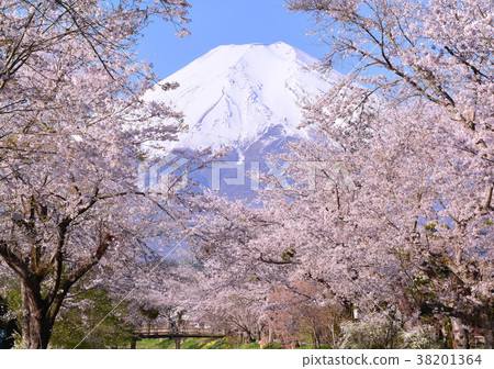 Spring scenery from Oshino-777446 38201364