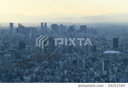 Tokyo cityscape in Japan (viewing skyscrapers such as Shinjuku) Tokyo cityscape in Japan (viewing skyscrapers such as Shinjuku) 38201564