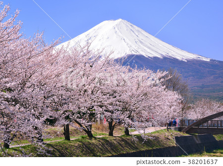 Spring scenery from Lake Kawaguchi-777423 38201637