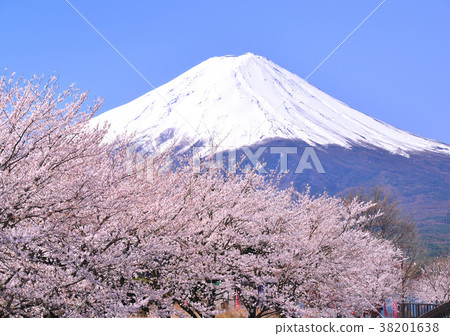 Spring scenery from Lake Kawaguchi-777424 38201638