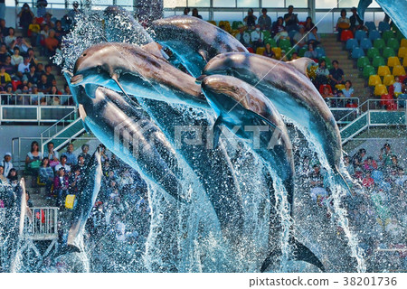 大跳！ 1 38201736