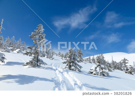 Snow mountain Snow mountain 38201826