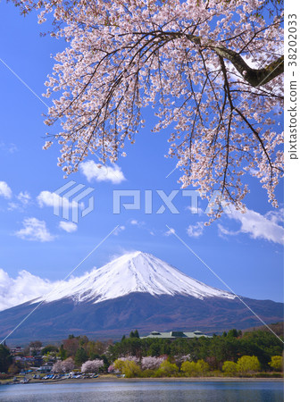 Spring scenery from Lake Kawaguchi-777 403 Spring scenery from Lake Kawaguchi-777 403 38202033