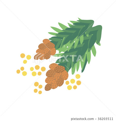 Sugi花粉例證 Sugi花粉例證 38203511