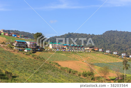 Scenery on Phu Thap Boek In Thailand Scenery on Phu Thap Boek In Thailand 38203564
