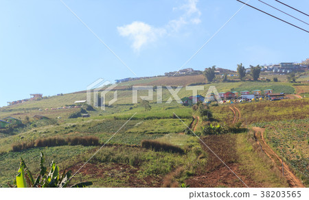 Scenery on Phu Thap Boek In Thailand Scenery on Phu Thap Boek In Thailand 38203565