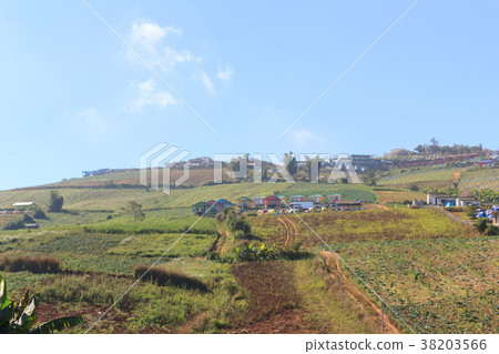 Scenery on Phu Thap Boek In Thailand Scenery on Phu Thap Boek In Thailand 38203566