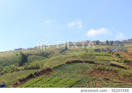 Scenery on Phu Thap Boek In Thailand 38203568