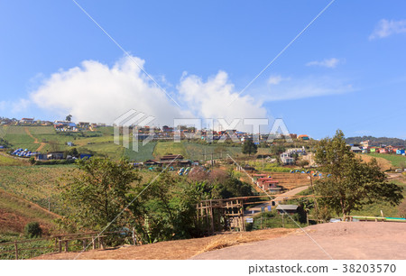 Scenery on Phu Thap Boek In Thailand Scenery on Phu Thap Boek In Thailand 38203570