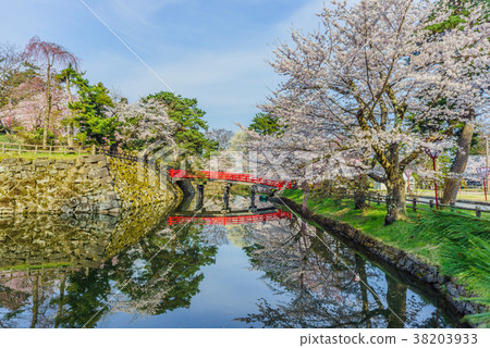 Landscape of Hirosaki Castle in Spring Landscape of Hirosaki Castle in Spring 38203933