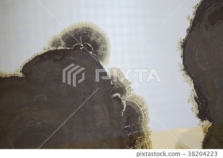 Corrosive defect "Shike" made in mirror Corrosive defect "Shike" made in mirror 38204223