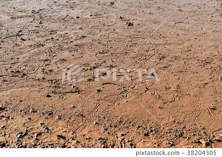 soil mud in rice field prepare for plant rice  38204305