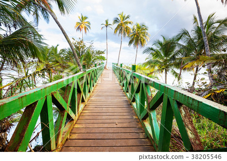 Boardwalk on the beach 38205546