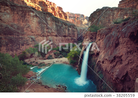 Hawasu Hawasu 38205559