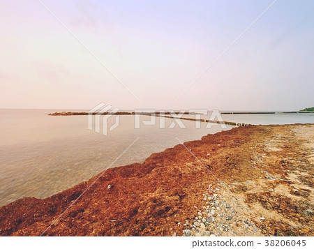 Mossy breakwater in water of sea.  Sandy beach  38206045