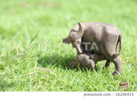 The small buffalo mother and baby at green fields The small buffalo mother and baby at green fields 38206915