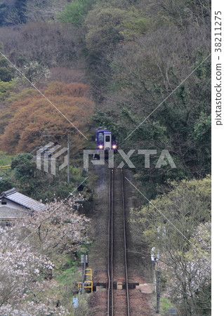 櫻花火車 38211275