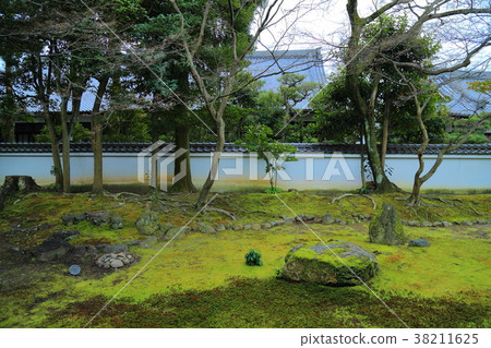 Aikokuji Toyokoji 38211625