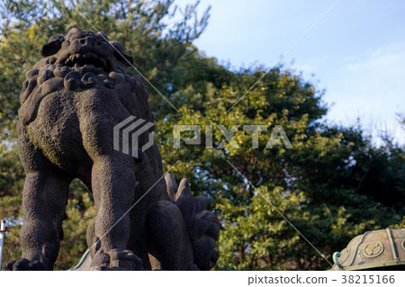 Ueno Onshi Park Toshogu Shiba Inu 38215166