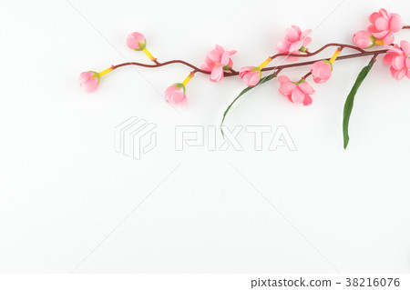 Fake pink flower branches on white Fake pink flower branches on white 38216076