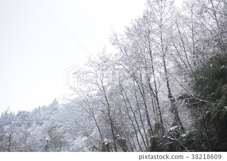 拉拉山雪景 拉拉山雪景 38218609