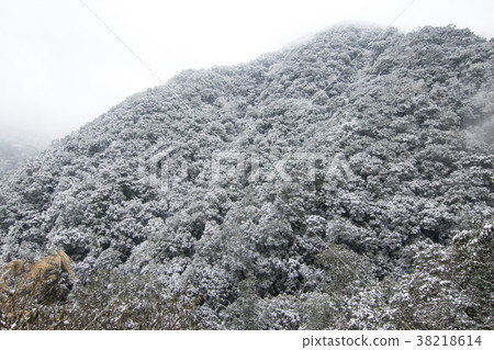 拉拉山雪景 拉拉山雪景 38218614