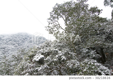 拉拉山雪景 拉拉山雪景 38218616