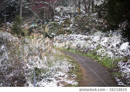 拉拉山雪景 拉拉山雪景 38218620