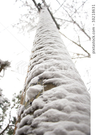 雪地裡的電線杆 雪地裡的電線杆 38218631