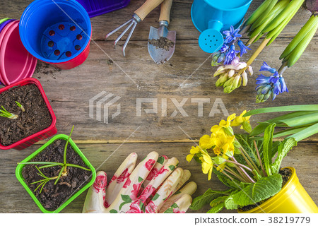frame of spring flowers and gardening tools 38219779