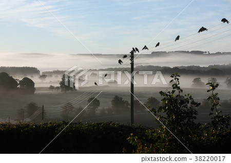 Early morning mist - United Kingdom Early morning mist - United Kingdom 38220017