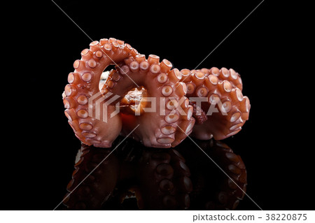 Baby octopus over black background. 38220875