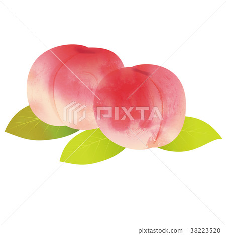 桃子的例證|桃子果子|手拉的樣式例證蘇梅 38223520