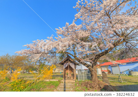 Landscape of Jizodo in spring Minakami Town 38224632