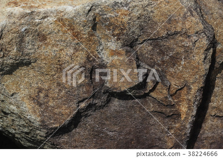 Rough rough skin Rough rough skin 38224666
