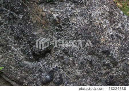 粗糙的皮膚 38224888