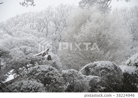 On the day of heavy snowfall in the metropolitan area 38224946