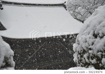 On the day of heavy snowfall in the metropolitan area On the day of heavy snowfall in the metropolitan area 38224974