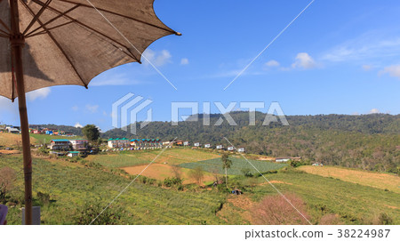 Scenery on Phu Thap Boek In Thailand Scenery on Phu Thap Boek In Thailand 38224987