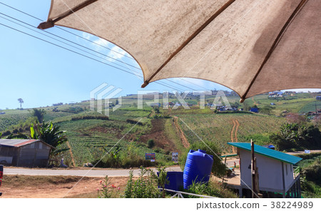 Scenery on Phu Thap Boek In Thailand Scenery on Phu Thap Boek In Thailand 38224989