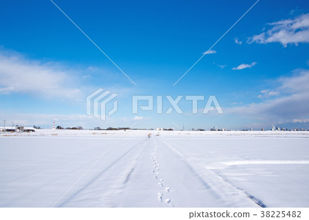 Large snow area in the Kanto region Aokawa River Across the river Large snow area in the Kanto region Aokawa River Across the river 38225482