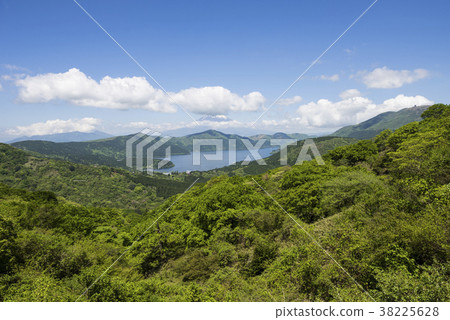 Views of fresh green daikan and lake Ashinoko 38225628