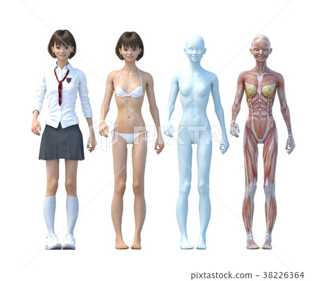 Muscular girls high school anatomical illustration forward-looking perming3DCG illustrations material 38226364
