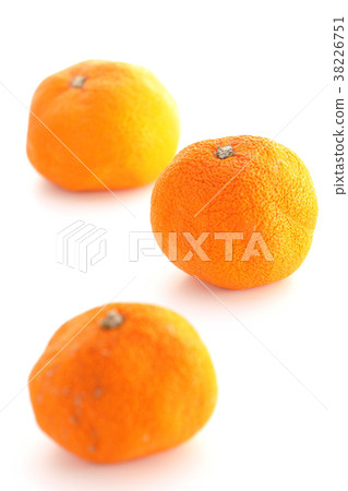 Dried wrinkled mandarin orange 38226751