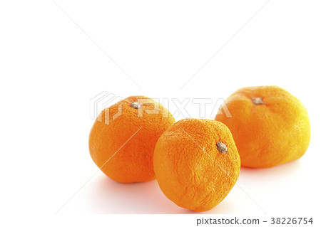 Dried wrinkled mandarin orange 38226754