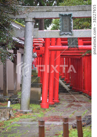 Torii gate of Oshiro Inari Shrine Torii gate of Oshiro Inari Shrine 38227655