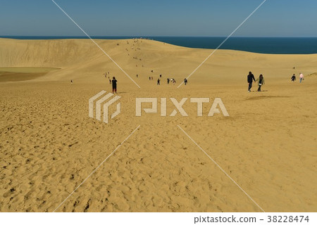 Tottori sand dunes 38228474