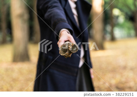 拿著一根木棍子的婦女 38229151