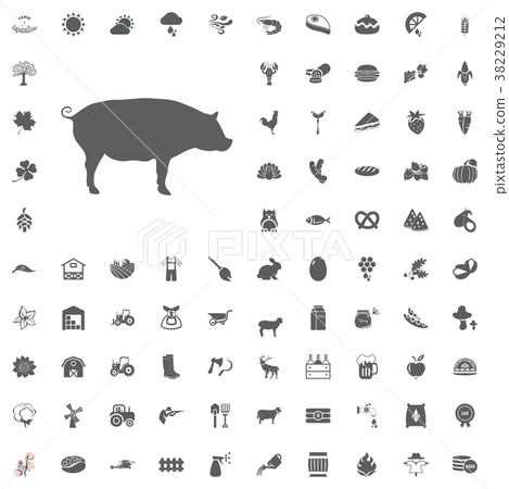 Agriculture and Farm Vector Icons Set Agriculture and Farm Vector Icons Set 38229212