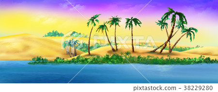 Palm Trees on a Sandy River Bank Palm Trees on a Sandy River Bank 38229280